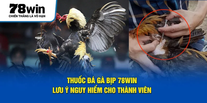 Thuốc Đá Gà Bịp 78Win - Lưu Ý Nguy Hiểm Cho Thành Viên